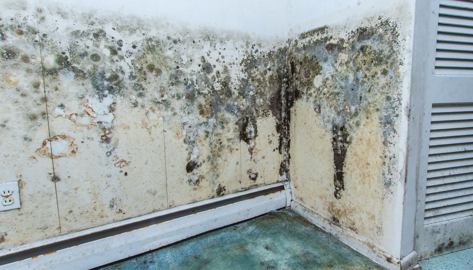 Professional mold removal, odor control, and water damage restoration service in Boston, Massachusetts.