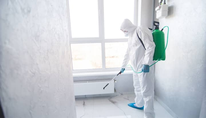 We provide the highest-quality mold inspection, testing, and removal services in the Boston, Massachusetts area.